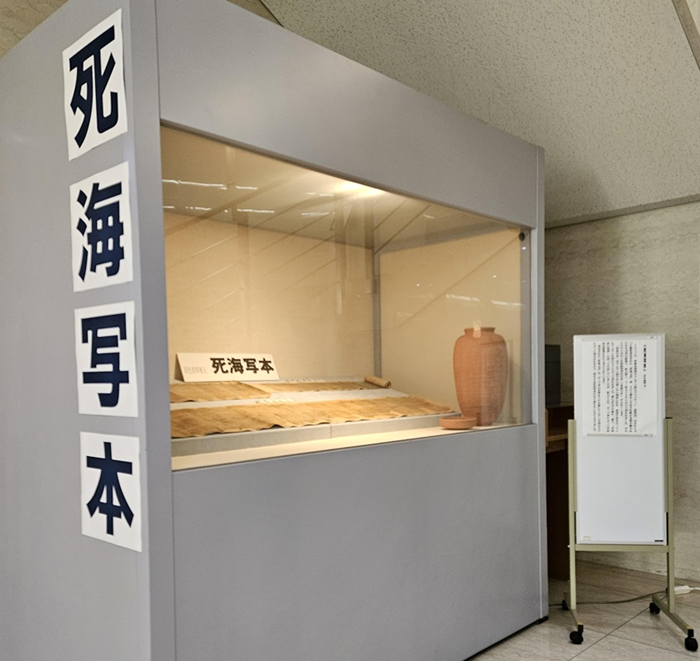 Webサイト_8_展示_「死海写本」レプリカ(2)
